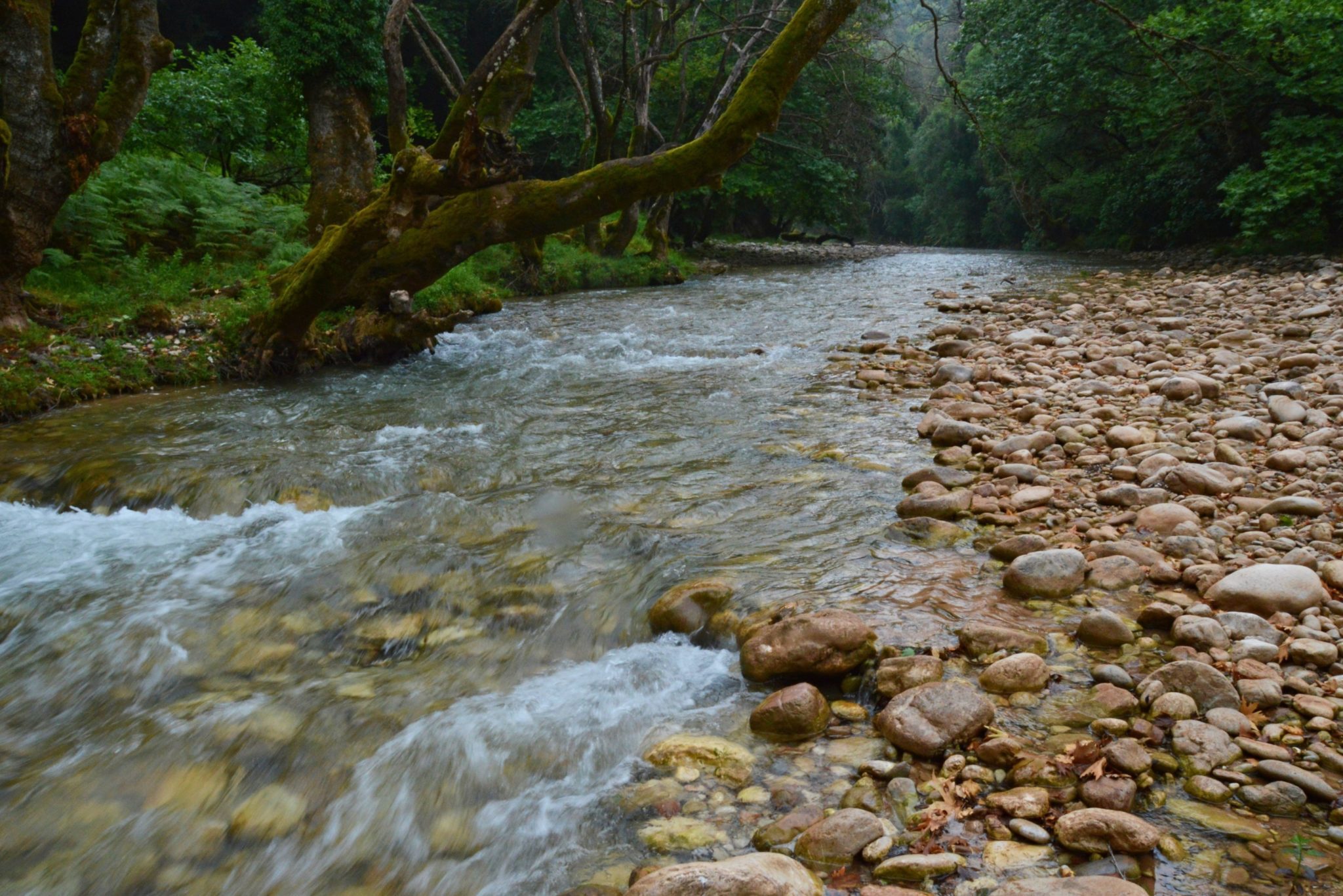 Erymanthos river on the borders of Ilia and Arcadia, Peloponnese, Greece