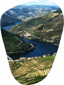 douro valley1