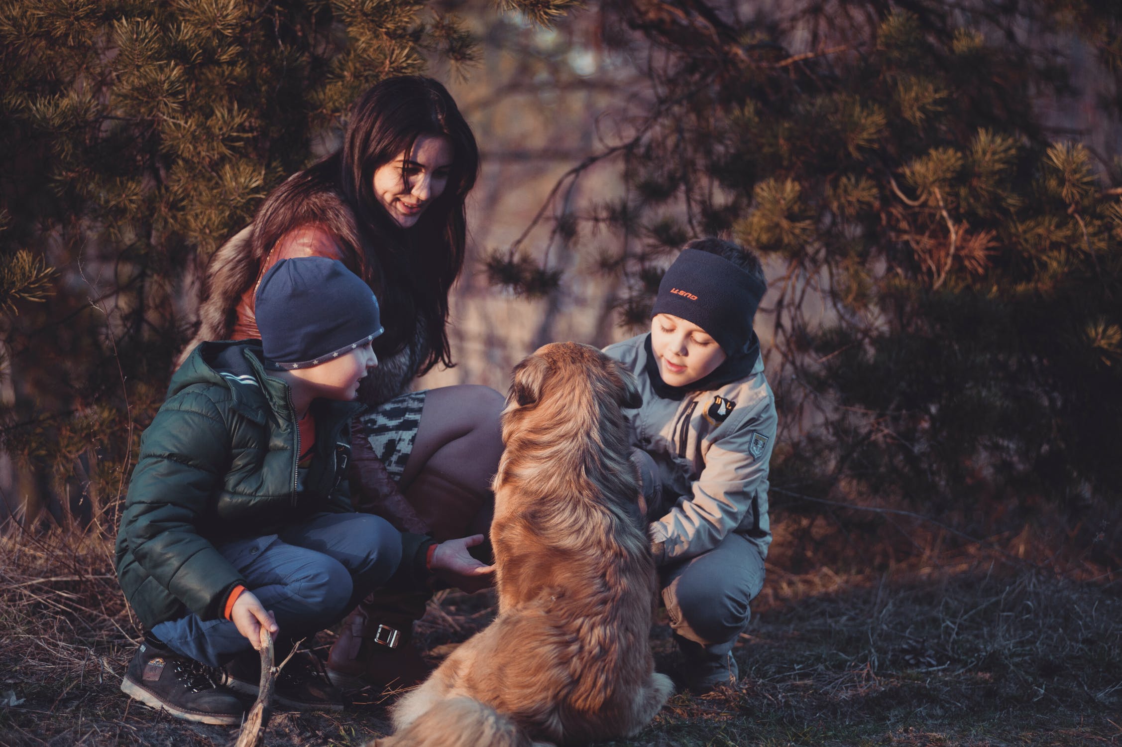Family-Law-Burnaby-Deer-Lake-Law-Group-Package-Separation-Agreement-Co-habitation-Prenup