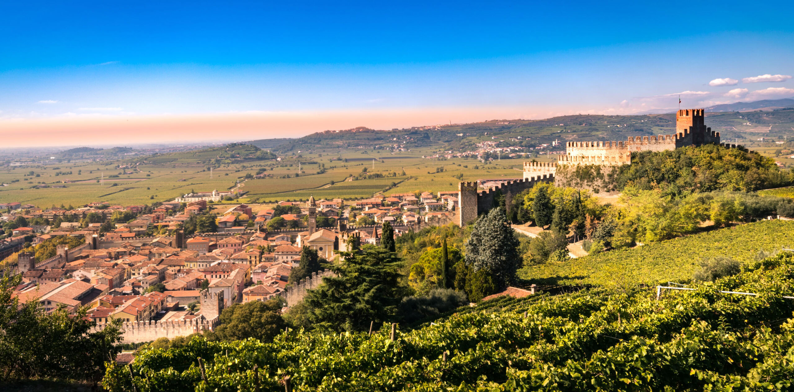 Soave Classico Clivus Soave Classico Clivus