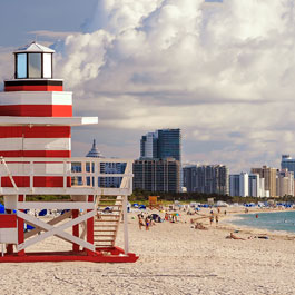 Language On Miami Beach School