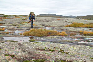 Fjällvandring