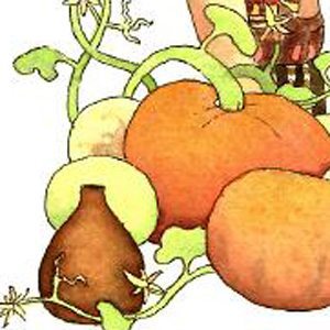 The Pumpkin in a Jar Story