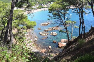 AMETLLA DE MAR