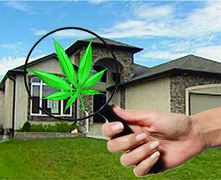 Are you living in a (former) ‘grow-op’?