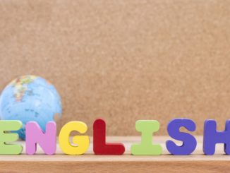 11th Class English MCQS