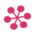 snowflake pink
