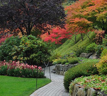 Landscape Design - slide1