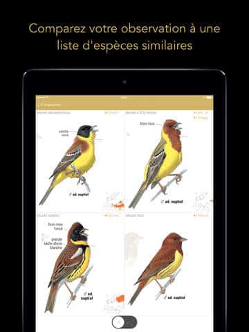 Le Guide Ornitho, l'application pour identifier les oiseaux 3 Le Guide Ornitho pour iPad