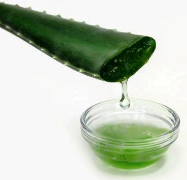 suco de aloe vera