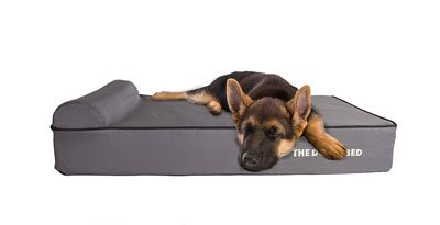 The 8 Best Dog Beds For German Shepherds Buying Guide 2020