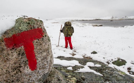 Vandrar i snö