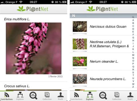 Pl@ntNet mobile : identifier les plantes par la photographie 4 PlantNet Adroid