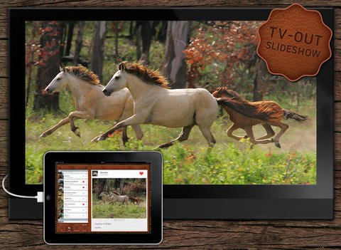 9 guides Nature Mobile pour identifier les espèces 6 Nature Mobile app