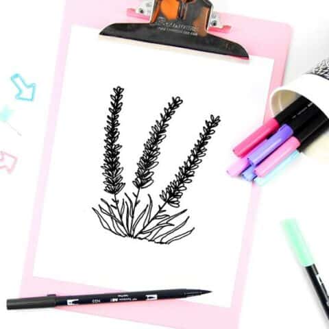 How to Draw Lavender Doodles