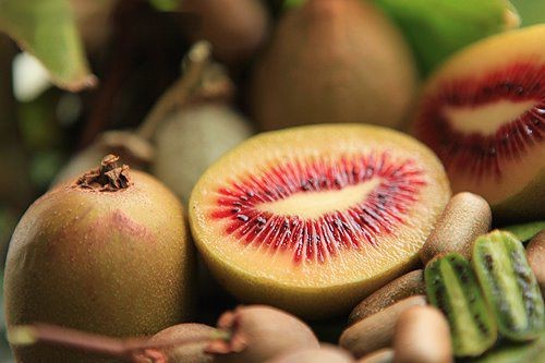 kiwi-vermelho-kiwi-vermelho | Dicas de Saúde