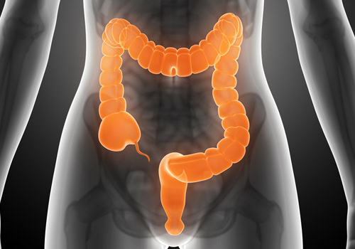 Colon | Dicas de Saúde