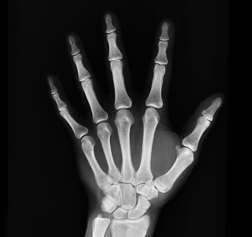 The bone structure of a hand