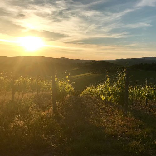 chianti wine tour