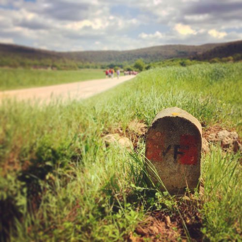 viaggio trekking tre giorni francigena