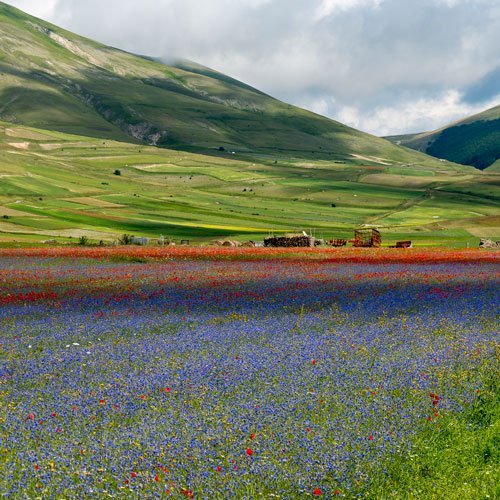 trekking a Castelluccio di Norcia