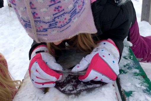 Snowflake Study: An Outdoor Science Activity Studying Snow Crystals WinterKids Teachers Sharing Series5