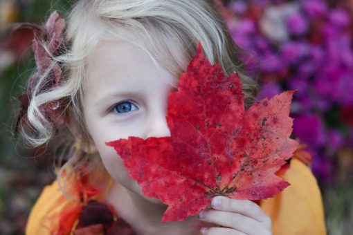 11 Outdoor Learning Activities that Celebrate Fall Outdoor Learning Activities that Celebrate Fall WinterKids2
