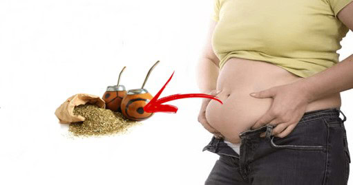 Dieta do Chá Mate | Dicas de Saúde Dieta do Chá Mate