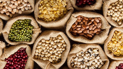 feijão é um superalimento feijão é um superalimento