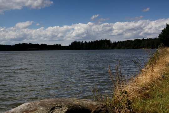 Rybník Velký Pálenec s táborem Vrbno
