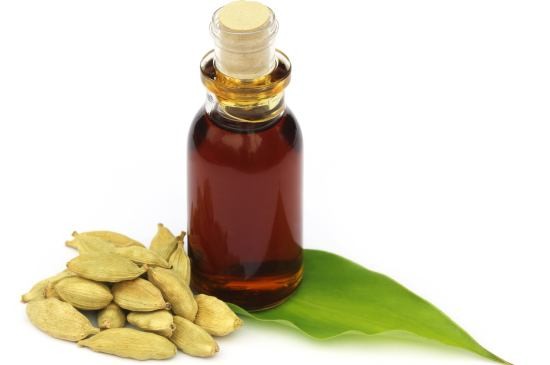 oleo-cardamomo | Dicas de Saúde oleo-cardamomo