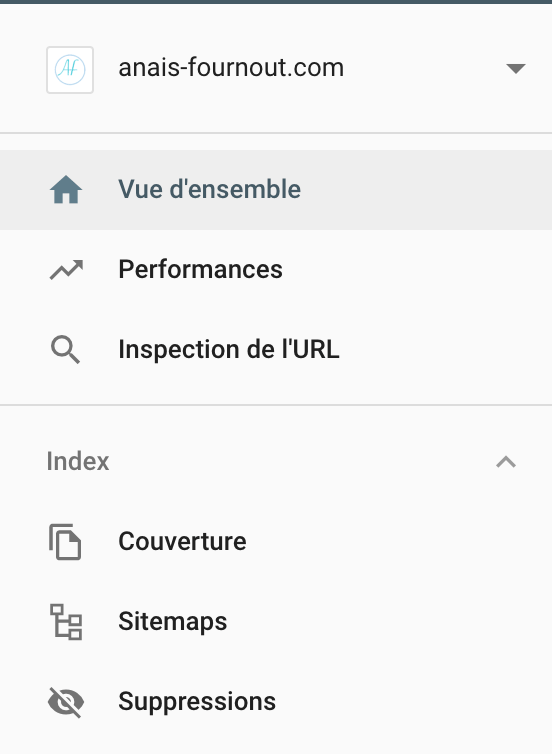 Menu Google Search Console