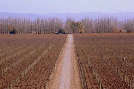 Catena Zapata, Mendoza Catena Zapata, Mendoza