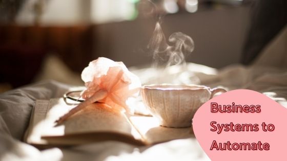 Business Systems to Automate - blog 2