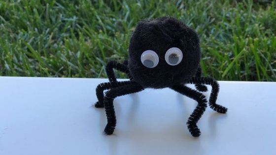 finished pom pom spider