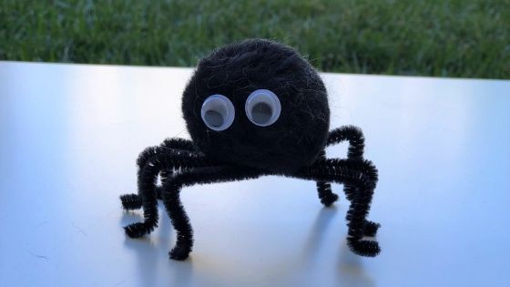 pom pom spider