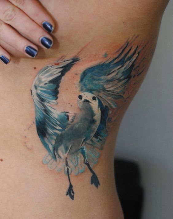 30 Cool Seagull Tattoo Designs for Men and Women EntertainmentMesh