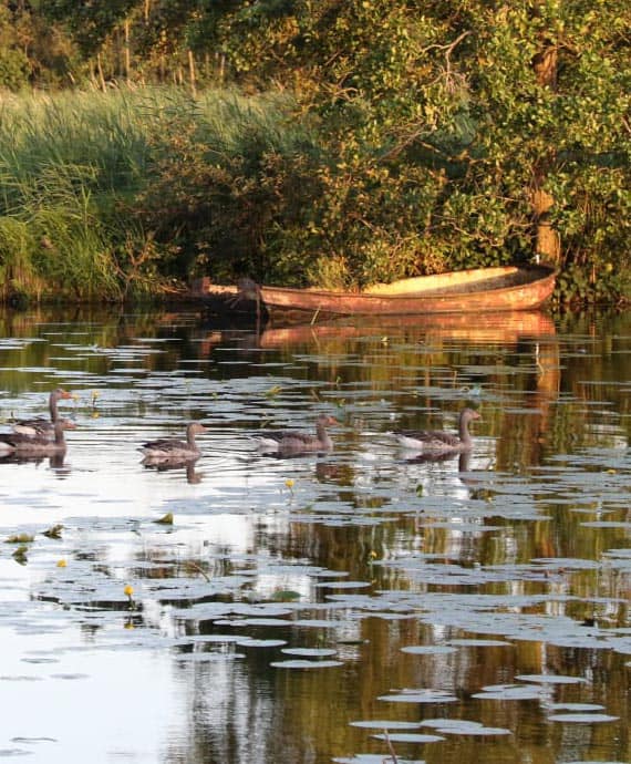 Bootje Bootje in de Weerribben, kalm