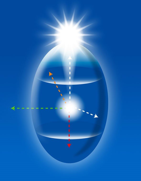 The Egg Diagram and the projection of the Self The Egg Diagram and the projection of the Self