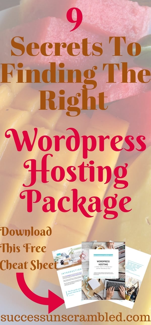 9 Secrets To Finding The Right WordPress Hosting Package-2