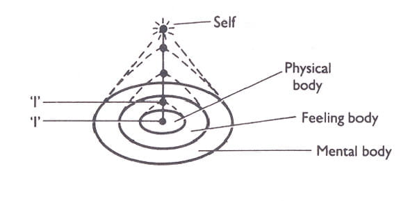 The ascending stages of self-development