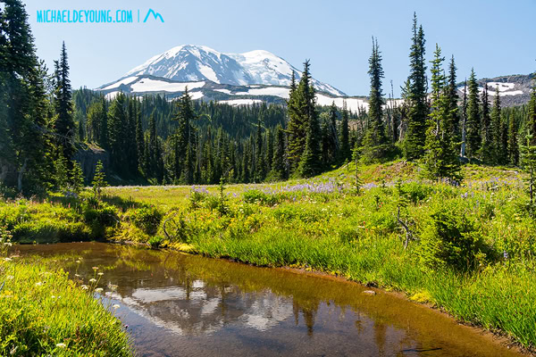 PCT in Mount Adams Wilderness, Washington