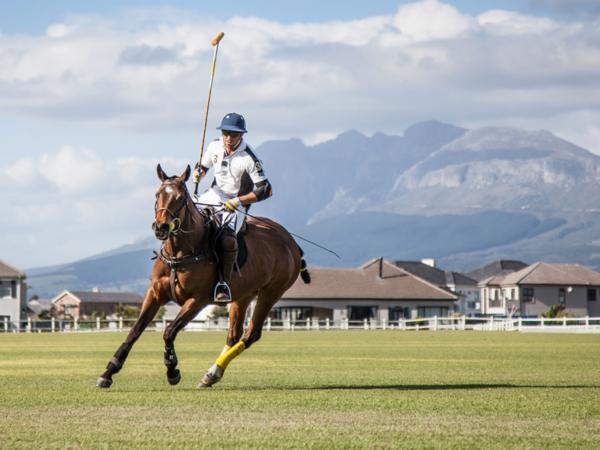 equestrian-12