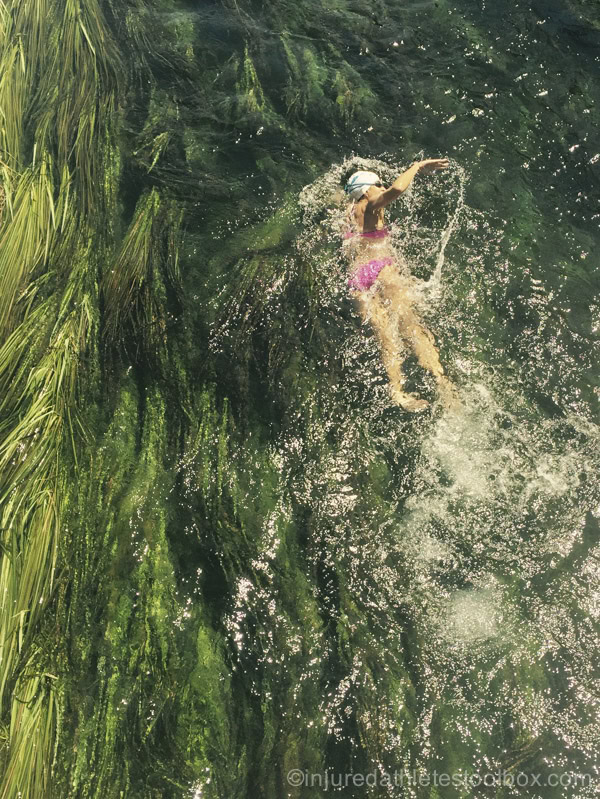 swimming upstream
