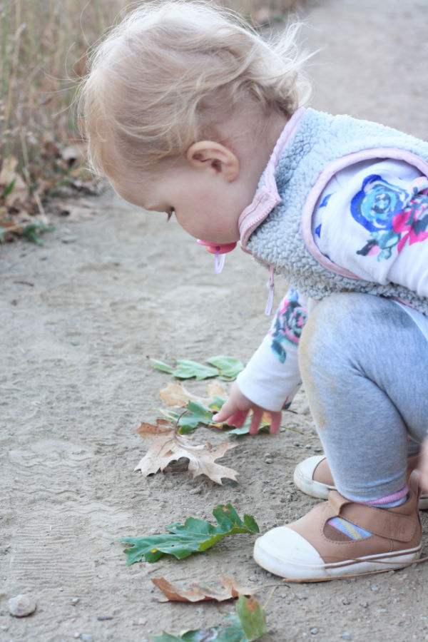 Collecting Nature Items 8 WinterKids Nature Patterns