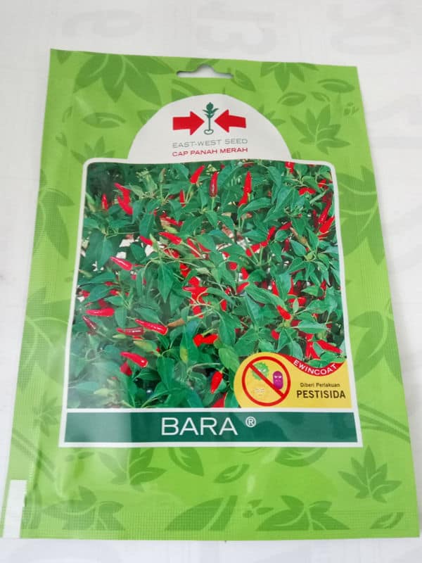 Panduan A Z Cara Menanam Cabe Hidroponik Lengkap 2020