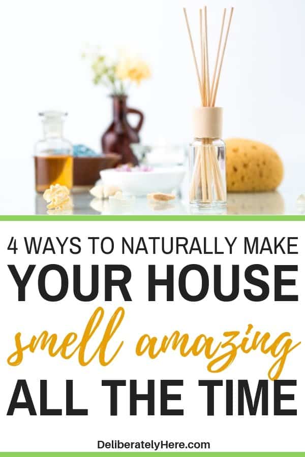 4 Hacks To Make Your House Smell Good When It S Always Stinky