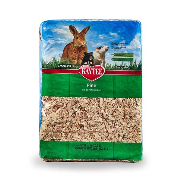 Best Bedding for Rats What You Need to Know