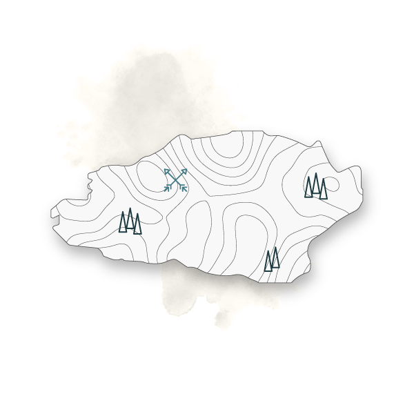 I Cipressi di Vitaleta
