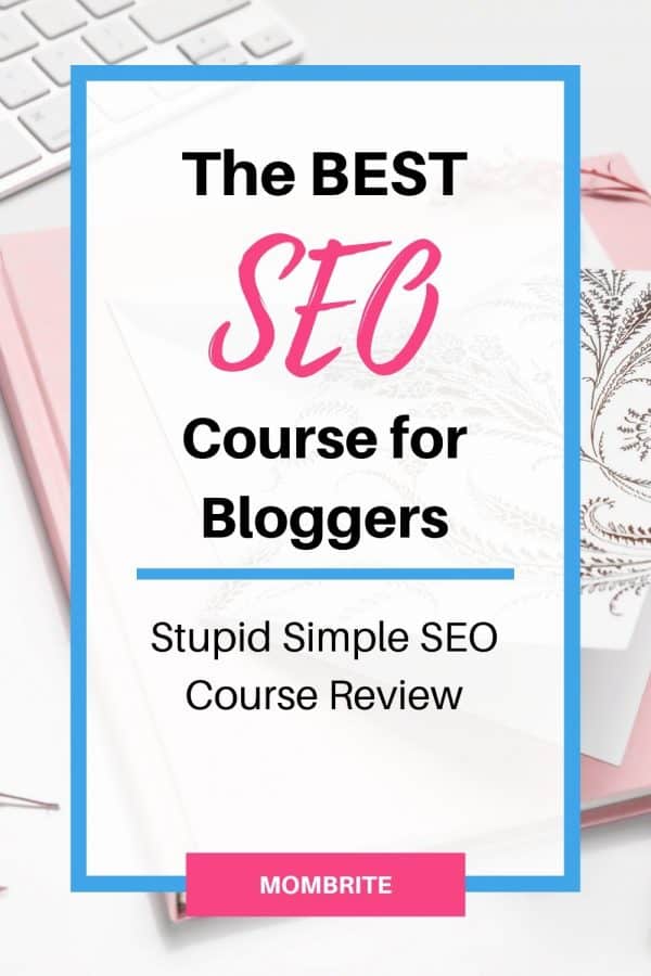 stupid simple seo course review